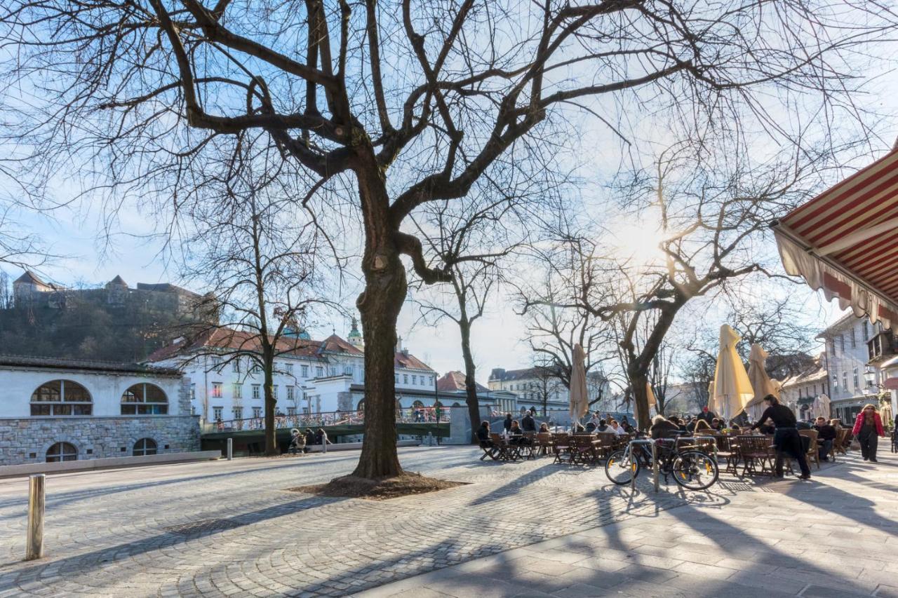 Old Town Apartments Ljubljana Dış mekan fotoğraf