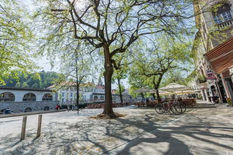 Old Town Apartments Ljubljana Dış mekan fotoğraf